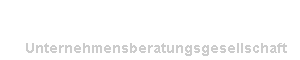 schfer consulting gmbh